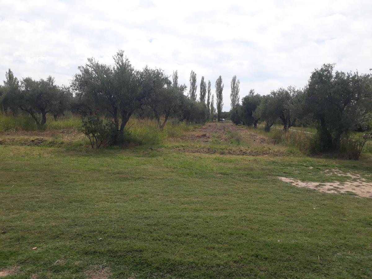 Casa De Campo Las Olivas San Rafael  Luaran gambar