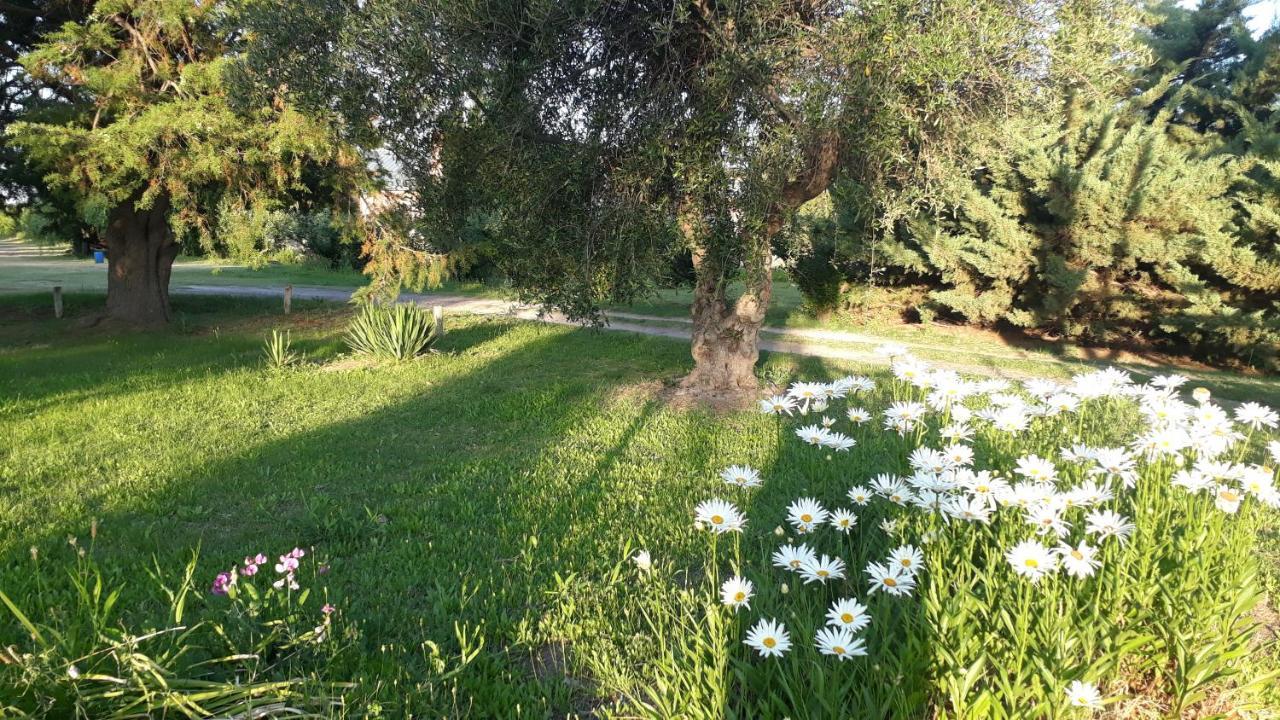 Casa De Campo Las Olivas San Rafael  Luaran gambar