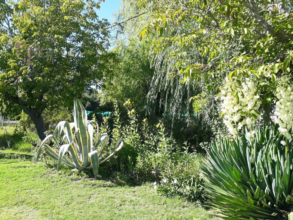 Casa De Campo Las Olivas San Rafael  Luaran gambar