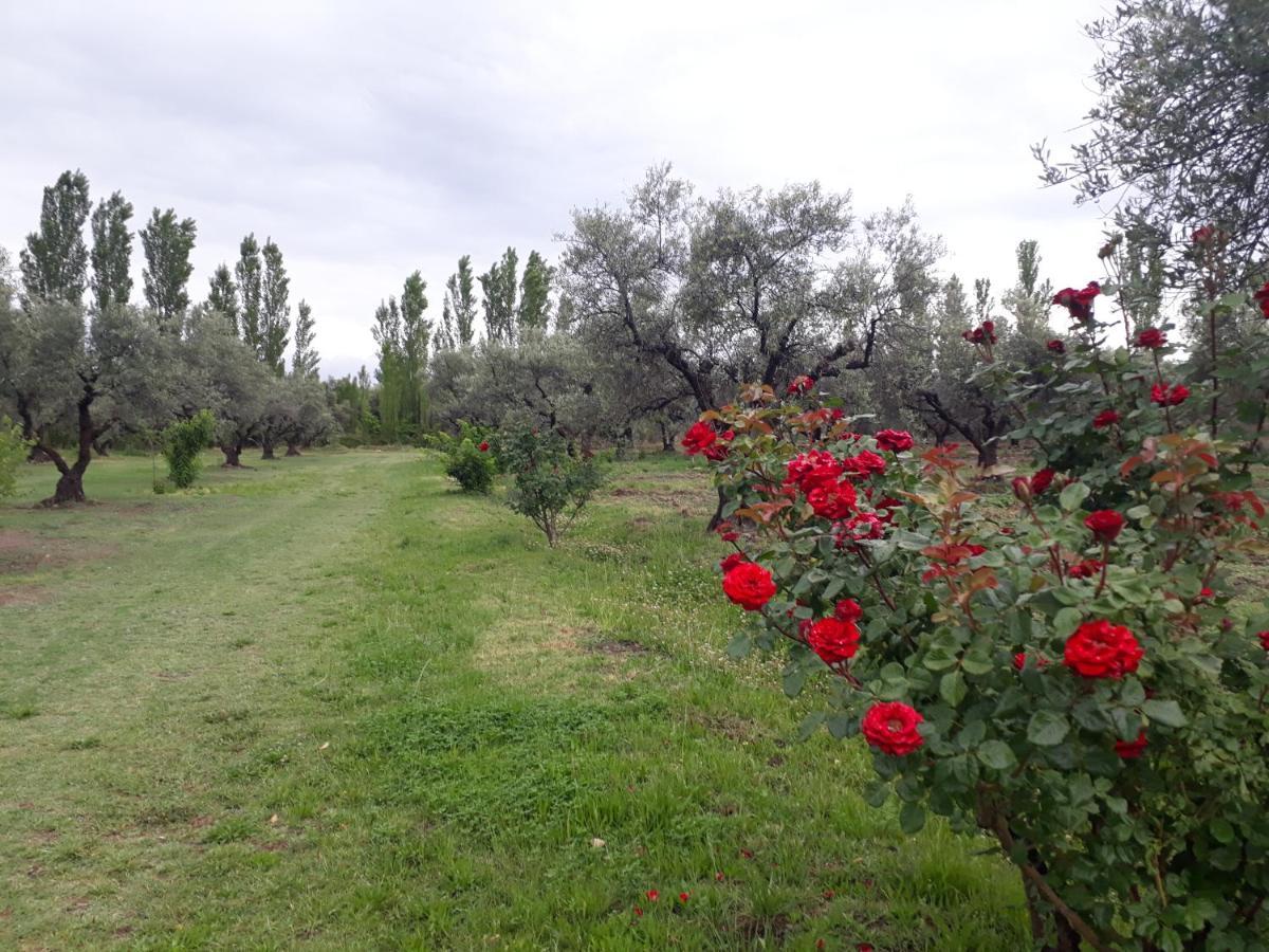 Casa De Campo Las Olivas San Rafael  Luaran gambar